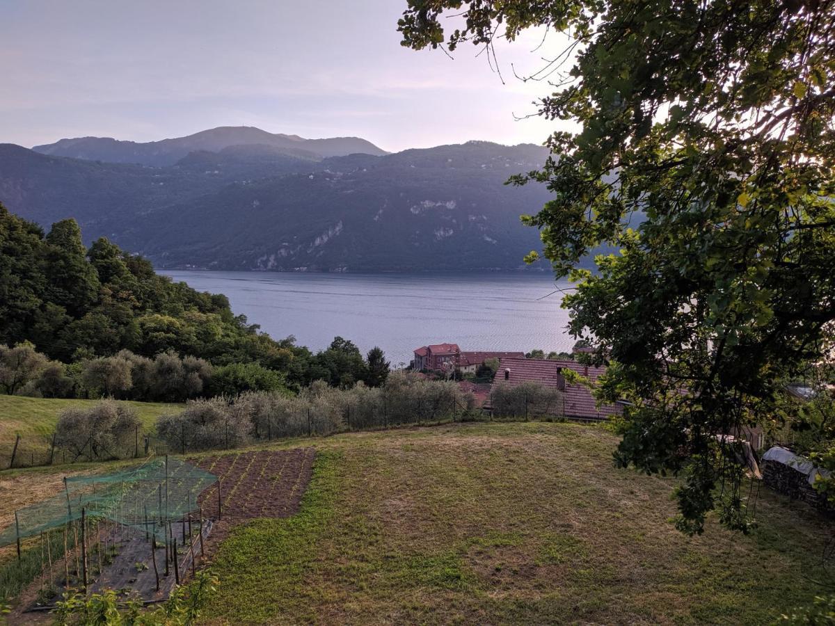 La casetta nel bosco Lierna Esterno foto