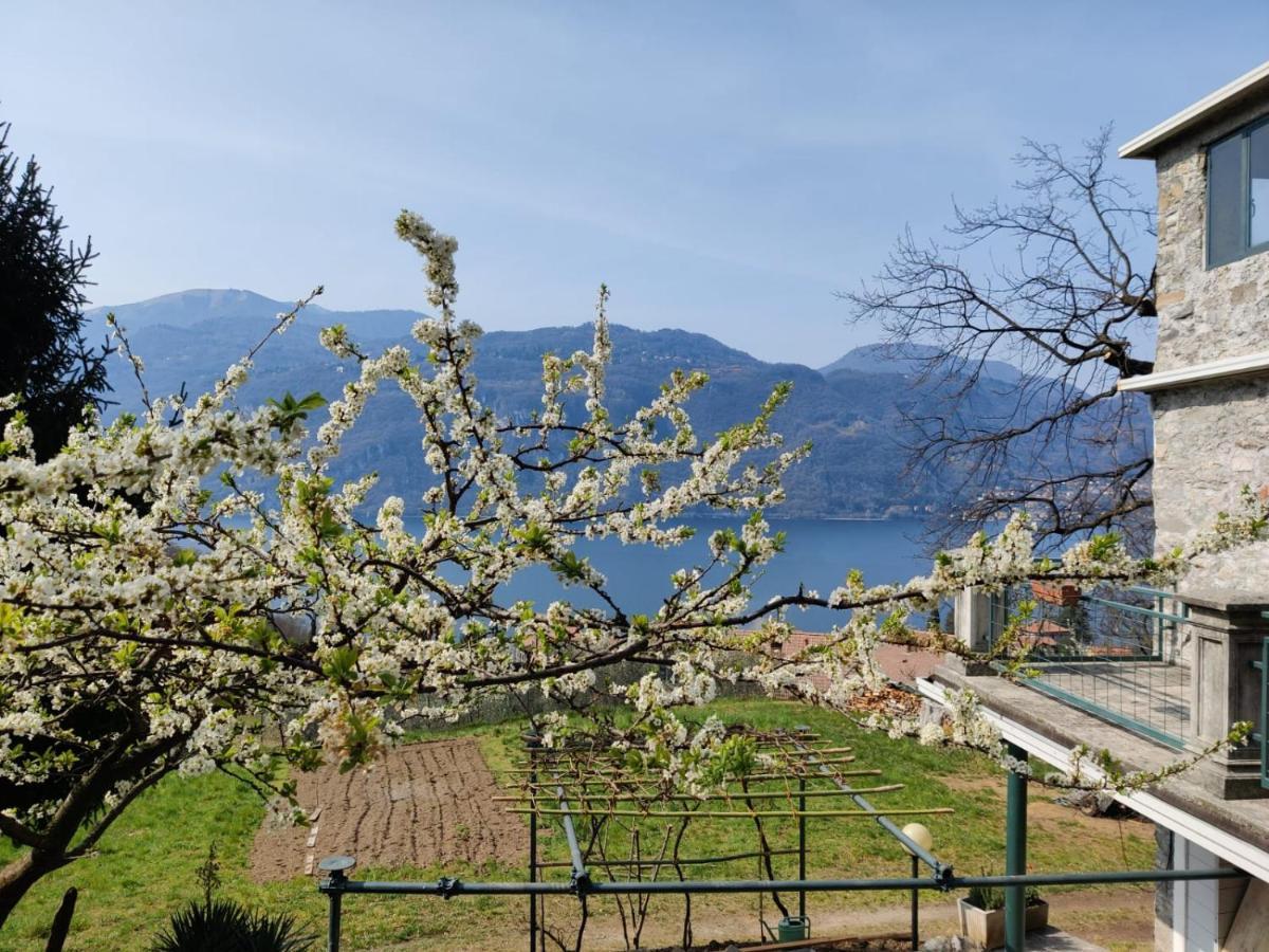 La casetta nel bosco Lierna Esterno foto